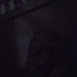 Meet your Posher, Sonny